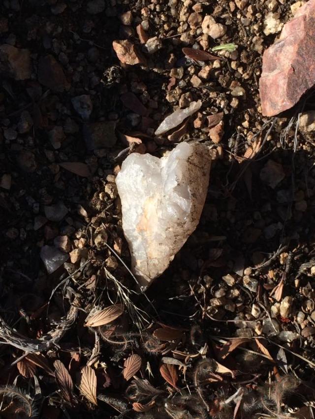 10411253_10203355980729422_2263236789892611962_n