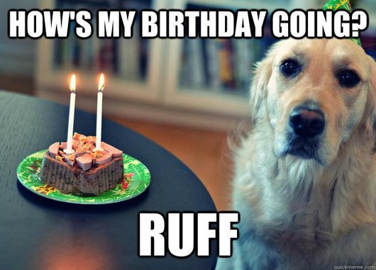 Hows-my-birthday-going-ruff-Sad-Meme
